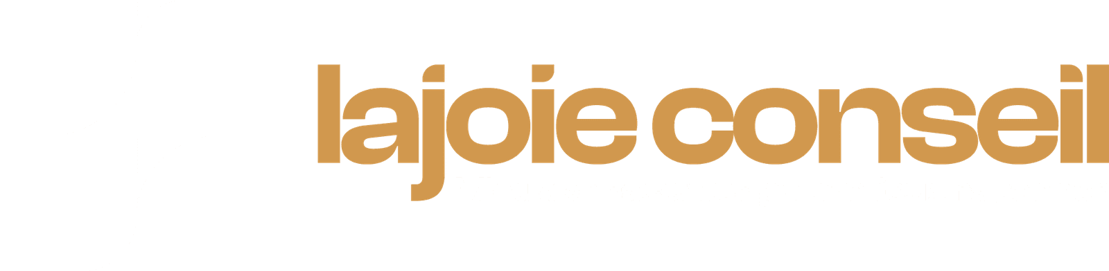 Lajoie Conseil, mieux se raconter pour mieux rayonner
